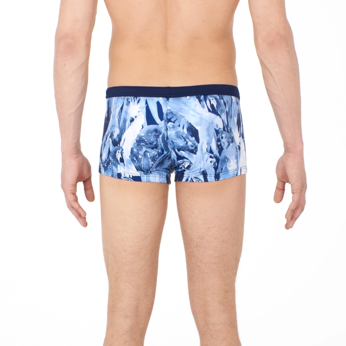 Hom Papagayo 5 Hom Papagayo – Image 3